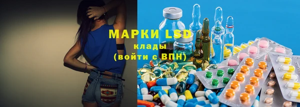 ГАЛЛЮЦИНОГЕННЫЕ ГРИБЫ Магас