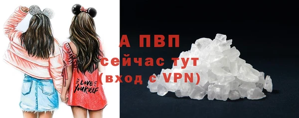 ГАЛЛЮЦИНОГЕННЫЕ ГРИБЫ Магас