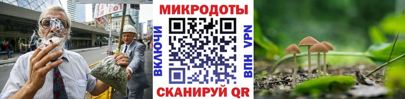 как найти закладки  Холмск  Псилоцибиновые грибы ЛСД 