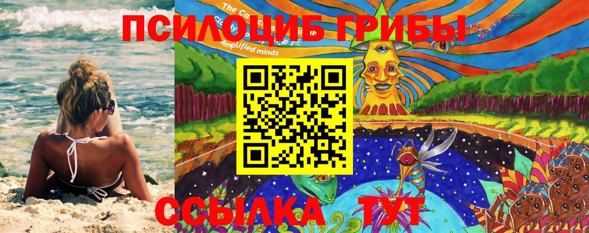 Холмск  Галлюциногенные грибы GOLDEN TEACHER  Вход с VPN  Галлюциногенные грибы ЛСД 