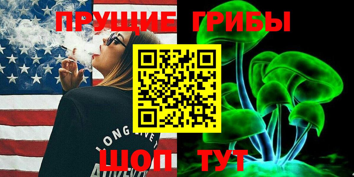 Галлюциногенные грибы Psilocybe Холмск